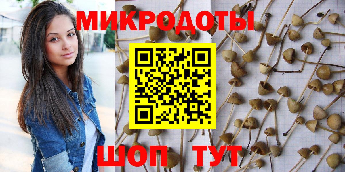 Псилоцибиновые грибы GOLDEN TEACHER Шатура
