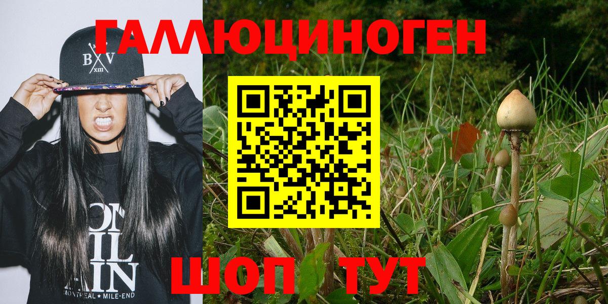 Псилоцибиновые грибы мухоморы Шатура