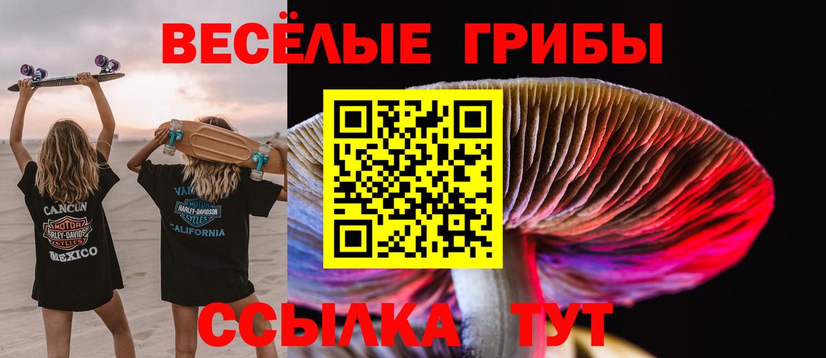Галлюциногенные грибы MAGIC MUSHROOMS  хочу   Вход с VPN  Шатура  Галлюциногенные грибы ЛСД 